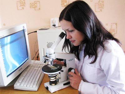 Вивчення мезоструктурної організації листової пластинки